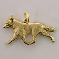 (image for) ACD with medium bail